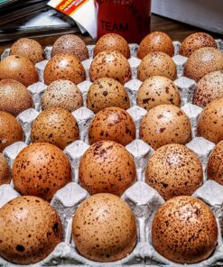 Speckled Egger™ Hatching Eggs