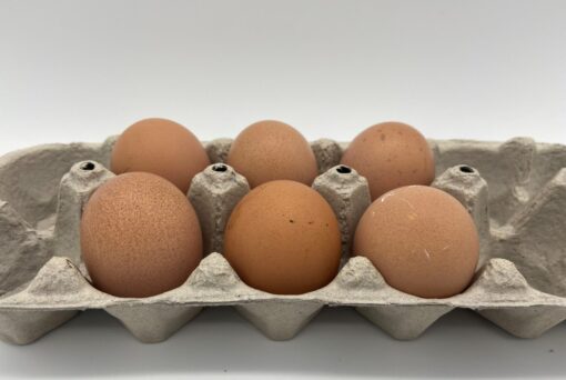 Brown Egger™ Hatching Eggs