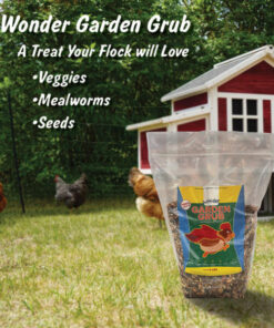 Chicken Treats & Supplements