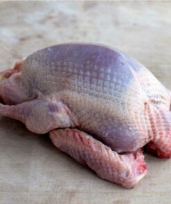 Buy Fresh Frozen Guinea Fowl