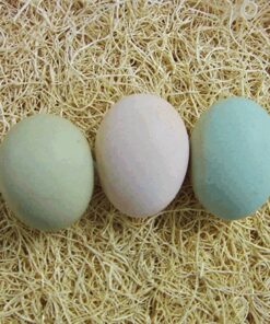 Easter Egger Hatching Eggs